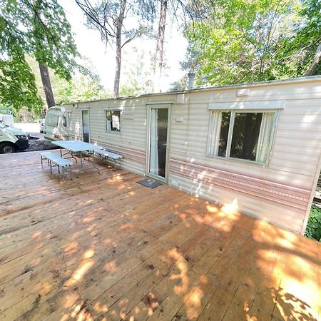 Your Camp Kormoran Holender Hel Bagian luar foto
